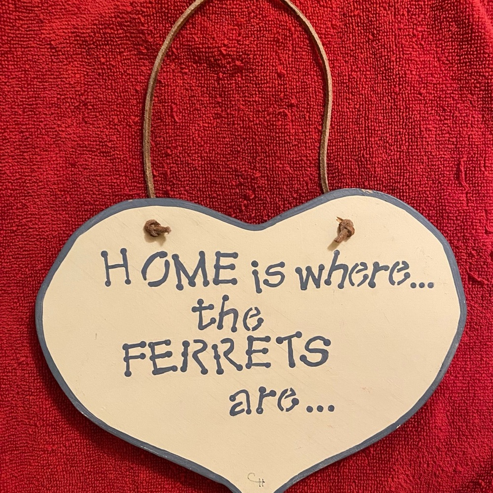 Handmade wooden decorative plaque “Home is where the Ferrets are…”